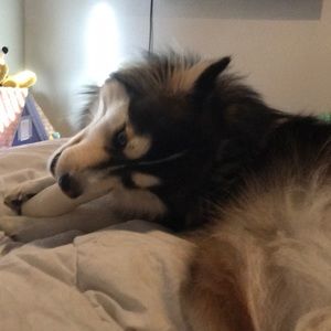 Meet your Posher, Julie